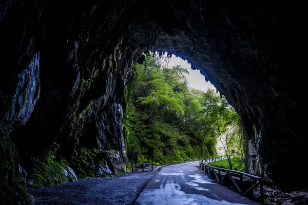 Uma Rua Através Uma Caverna Que Leva Uma Floresta — Fotografia de Stock