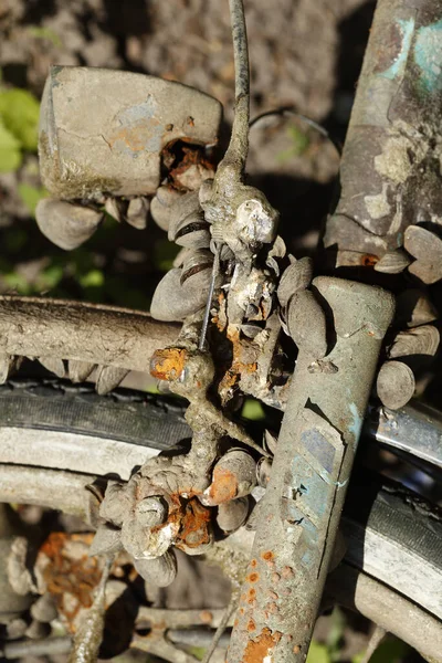 Een Verticaal Ondiep Focus Close Shot Van Een Oude Roestige — Stockfoto