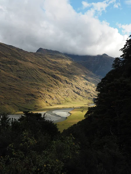 Flygbild Mount Aspiring National Park Nya Zeeland Med Träd Och — Stockfoto