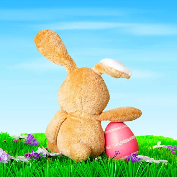 一只粉色复活节彩蛋 蓝天下有一只可爱的兔子 — 图库照片