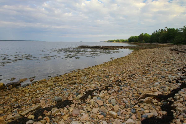 Скалистый Пляж Спокойного Моря Захваченный Днем — стоковое фото