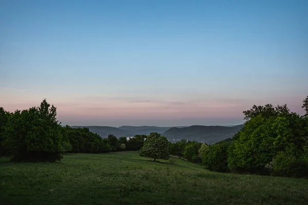 Närbild Skog Och Kullar — Stockfoto