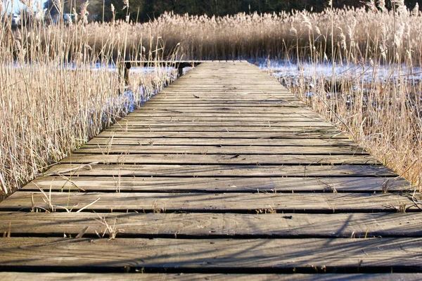 High Angle Shot Wooden Road Field — Stock Photo, Image