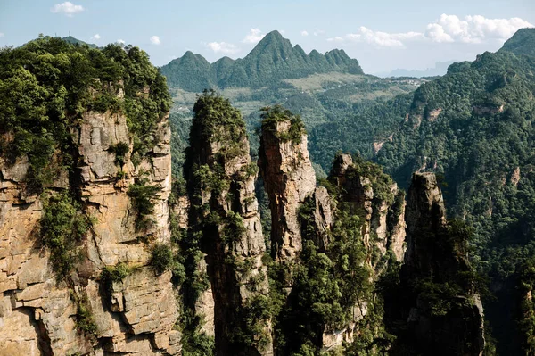 一张令人叹为观止的高石子照片 上面覆盖着高山背景的树木 — 图库照片