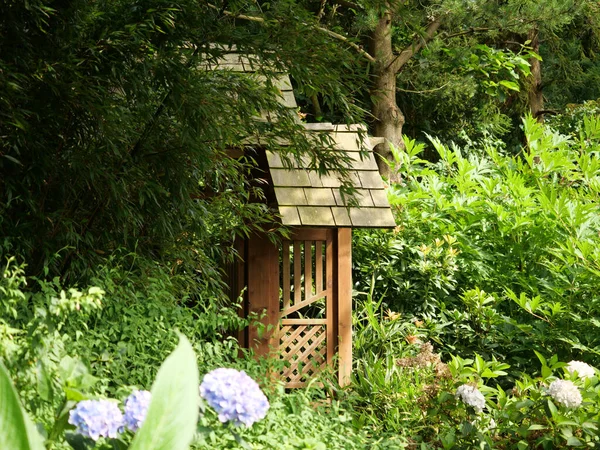 Selective Focus Shot Wooden Gate Middle Forest — Stock Photo, Image