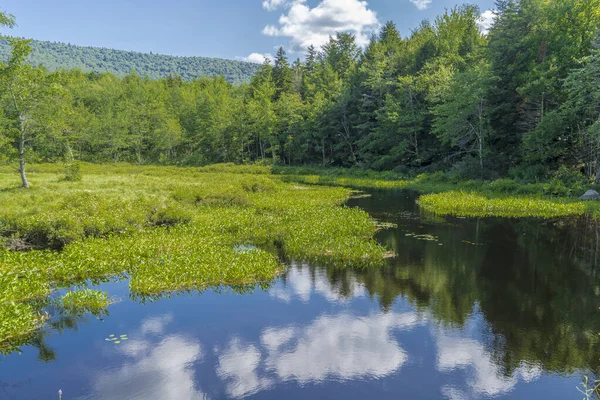 Beau Cliché Lac Dans Les Adirondacks État New York — Photo