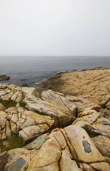 Colpo Verticale Delle Rocce Nella Baia Gouldsboro Maine — Foto Stock