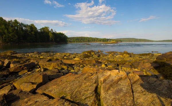 Costa Rochosa Baía Gouldsboro Maine — Fotografia de Stock