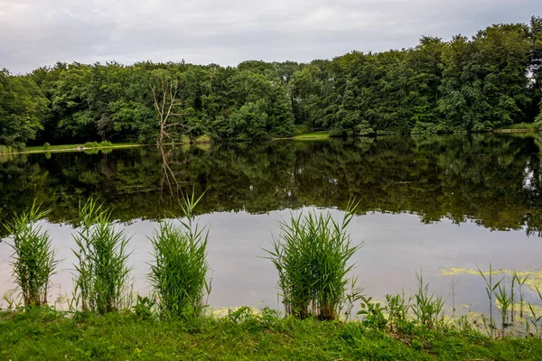 Lac Entouré Une Forêt Avec Des Arbres Réfléchissant Sur Eau — Photo