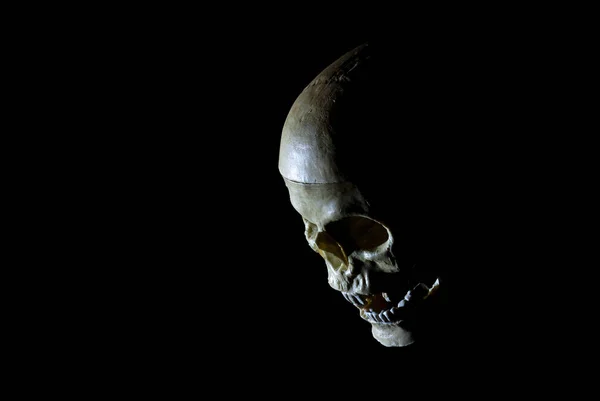 Karanlıktaki Kafatasının Yakın Çekimi Cadılar Bayramı Konsepti Için Mükemmel — Stok fotoğraf