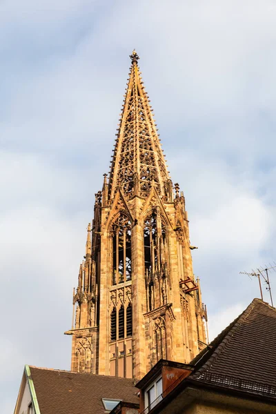 Een Verticaal Shot Van Freiburger Munster Kathedraal — Stockfoto