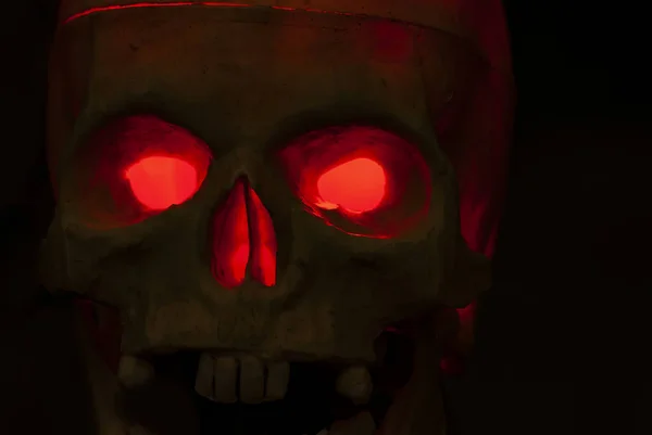 Closeup Shot Skull Darkness Illuminated Perfect Halloween Concept — Stock Photo, Image