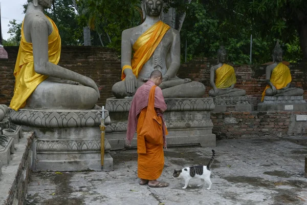 タイのアユタヤにあるワット チャモンコル寺院の仏像を歩く僧侶の眼のレベルのショット — ストック写真