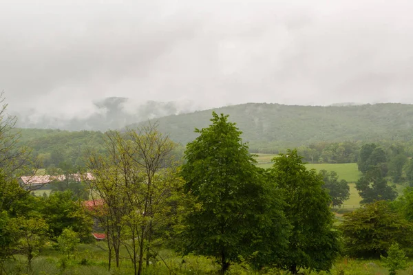 Alto Angolo Tiro Alberi Colline — Foto Stock