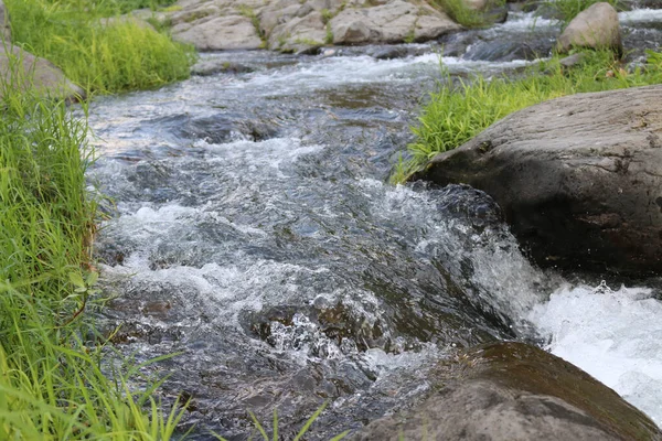 Низькокутний Вид Дикої Струмки Оточеної Камінням Травою Поблизу Водоспаду Кедунг — стокове фото