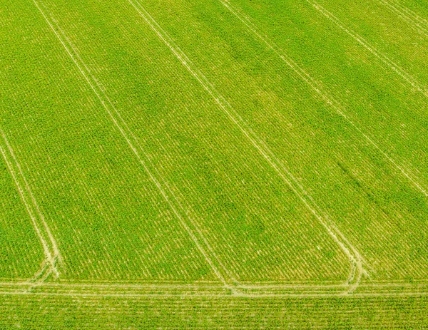 Aerial Green Agricultural Field Traces Tracks Spraying Acitivities Tractor Nature — Stock Photo, Image