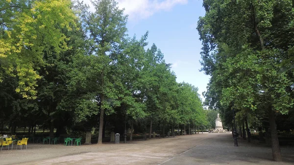 Long Pathway Surrounded Trees Park — Stock Photo, Image