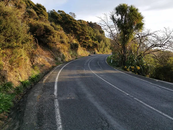 Tiro Close Uma Curva Estrada Asfalto Com Vegetação Lado — Fotografia de Stock