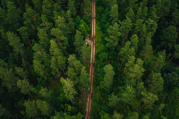 Aerial Shot Long Road Surrounded Trees Greens — Stock Photo, Image