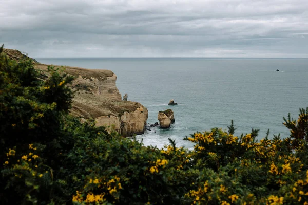 Breathtaking Shot Beautiful Seascape Huge Rocks Dunedin New Zealand — Stock Photo, Image