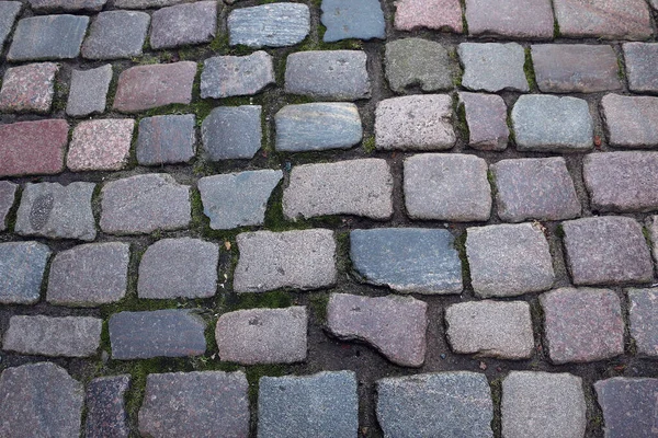High Angle Closeup Shot Brick Sidewalk — Stock Photo, Image