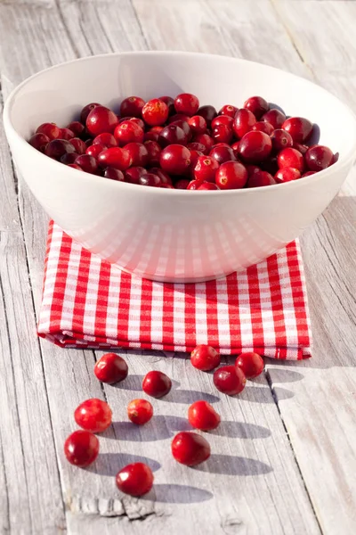 Closeup Shot Fresh Red Cranberries White Bowl — Stock Photo, Image