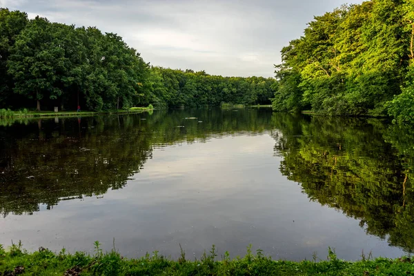 Lac Entouré Une Forêt Avec Des Arbres Réfléchissant Sur Eau — Photo