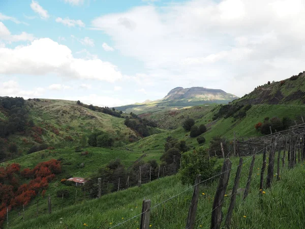 Una Vista Ipnotizzante Sulle Colline Immerse Nel Verde Durante Una — Foto Stock