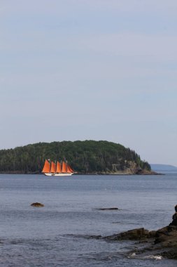 A vertical shot of a boat sailing on Frenchman Bay at Agamont Park, Bar Harbor in Maine, USA clipart