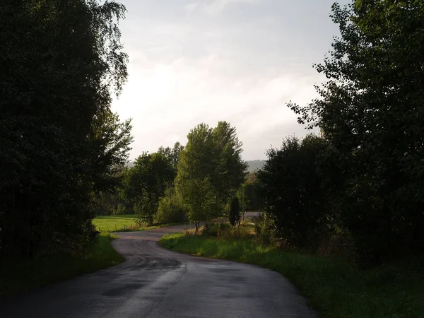 スウェーデン 草で覆われた田舎道 — ストック写真