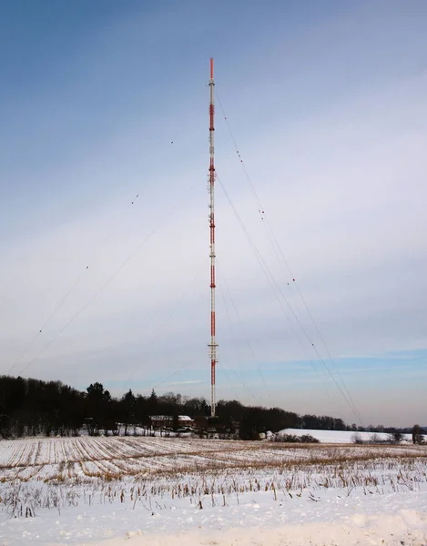 Вертикальний Постріл Щогли Передачі Снігу — стокове фото