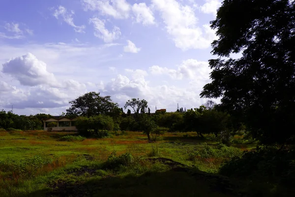 Una Hermosa Toma Campo Verde Con Árboles Bajo Cielo Nublado — Foto de Stock