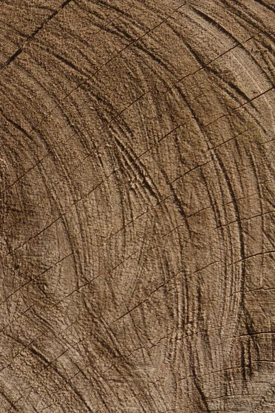 Tiro Vertical Uma Textura Madeira — Fotografia de Stock