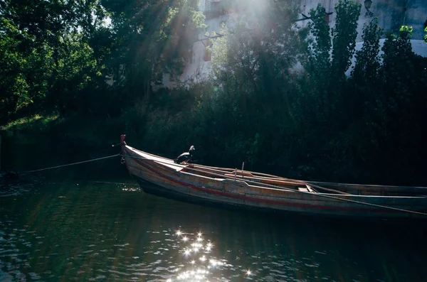 Vieux Bateau Garé Dans Lac Entouré Verdure Constancia Santarem Portugal — Photo