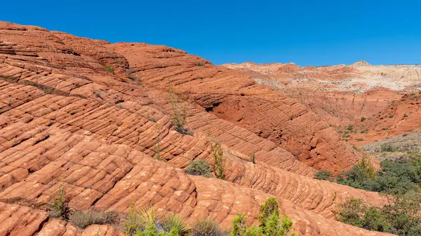 Μια Όμορφη Βολή Από Κόκκινα Βράχια Ψαμμίτη Στο George Utah — Φωτογραφία Αρχείου