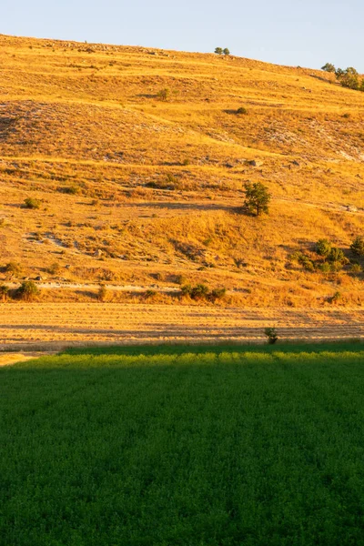 Uma Bela Paisagem Uma Paisagem Com Colinas Árvores Dia Ensolarado — Fotografia de Stock