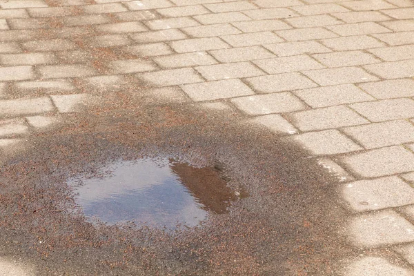 晴れた日のレンガ造りの道の真ん中にある水たまり — ストック写真