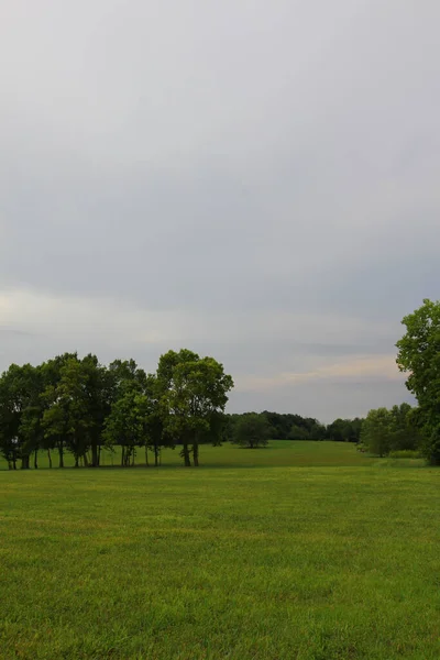 Quelques Arbres Dans Champ Vert Par Une Journée Sombre — Photo