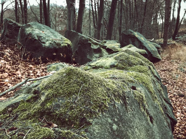 Giant Rocks Covered Moss Woods — Stock Photo, Image