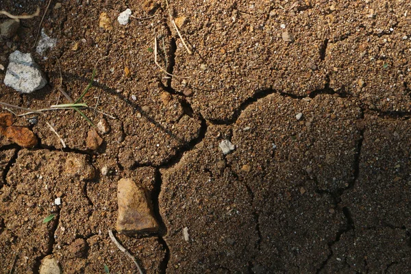 Primer Plano Grietas Suelo — Foto de Stock