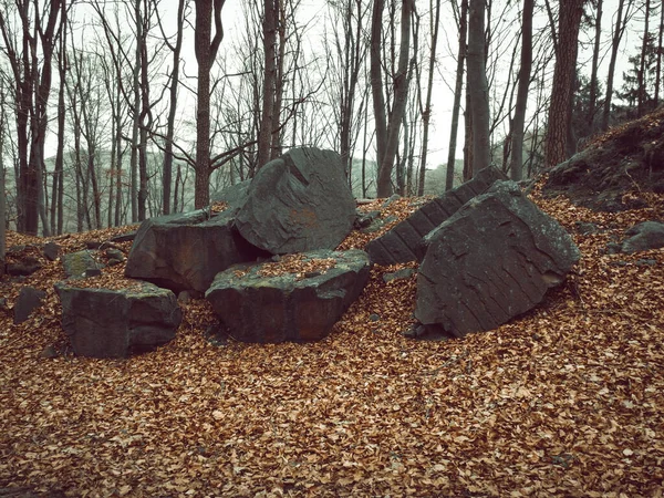 Enorme Rotsen Omringd Door Omgevallen Bladeren Bomen Het Bos — Stockfoto