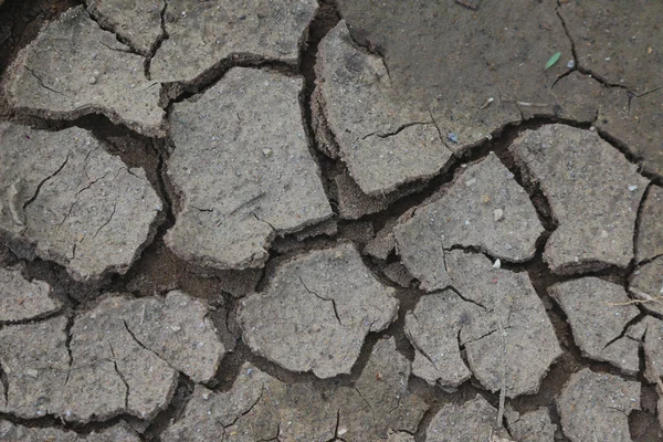 Een Close Schot Van Scheuren Grond — Stockfoto