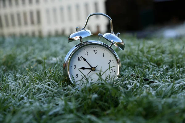 霜で覆われた芝生の上に目覚まし時計があります — ストック写真