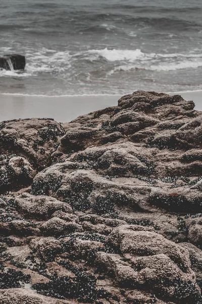 Sahildeki Kayaların Dikey Görüntüsü — Stok fotoğraf