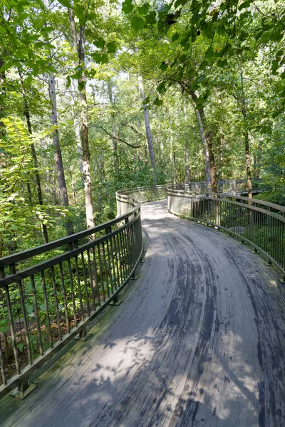 Eine Vertikale Aufnahme Einer Brücke Den Garvan Woodland Gardens Arkansas — Stockfoto