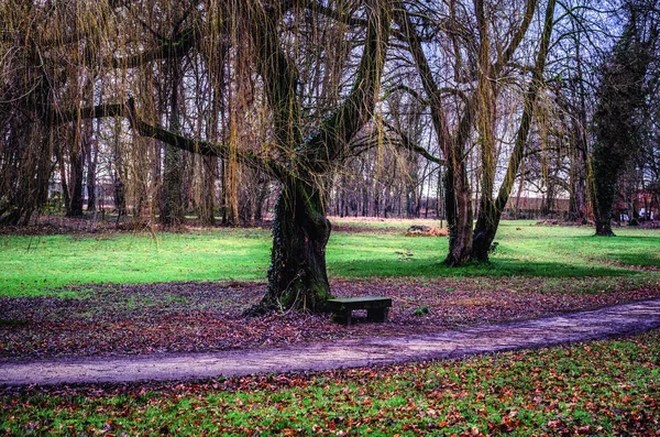 Eine Schöne Aufnahme Der Natur Auf Einem Herbstlichen Park — Stockfoto