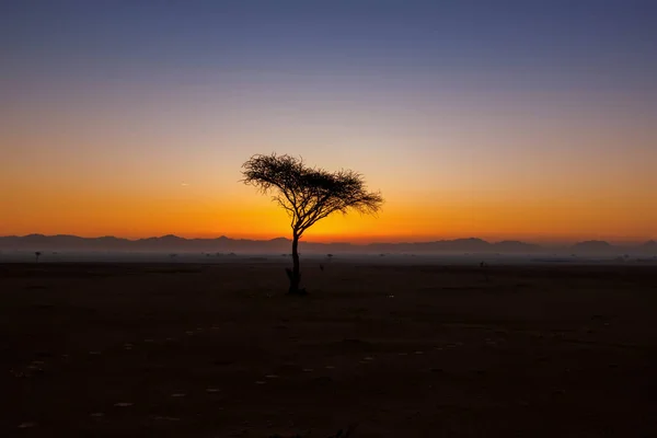 Una Vista Fascinante Del Amanecer Con Nieblas Matutinas Desierto —  Fotos de Stock