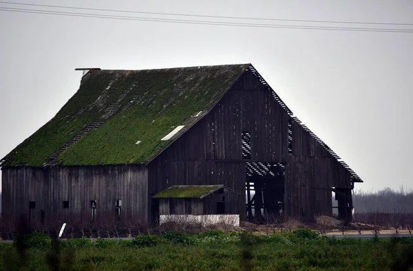 Egy Öreg Fapajta Mohos Tetővel Farmon — Stock Fotó