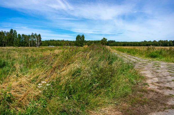 Krásná Krajina Loukami Polsku — Stock fotografie