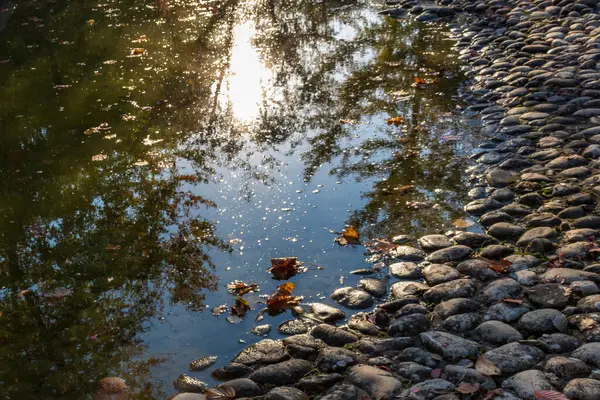 Piękne Ujęcie Jeziora Jesiennymi Liśćmi Kamieniami Boku — Zdjęcie stockowe
